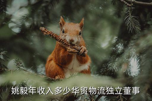 姚毅年收入多少華貿(mào)物流獨(dú)立董事