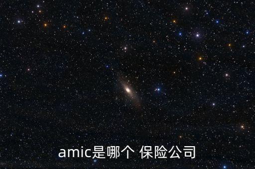 amic是哪個 保險公司