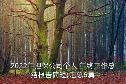 2022年擔(dān)保公司個(gè)人 年終工作總結(jié)報(bào)告簡短(匯總6篇