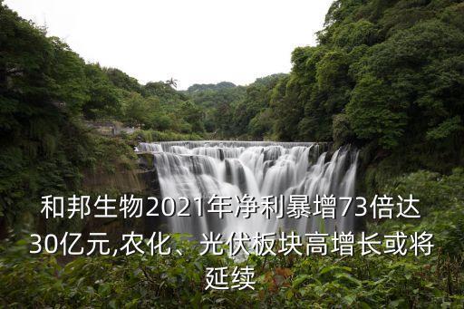 和邦生物2021年凈利暴增73倍達(dá)30億元,農(nóng)化、光伏板塊高增長或?qū)⒀永m(xù)