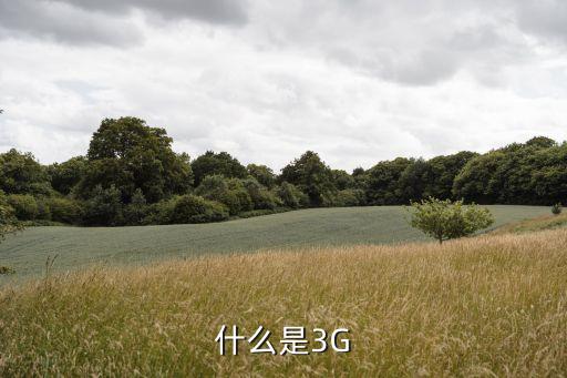 什么是3G