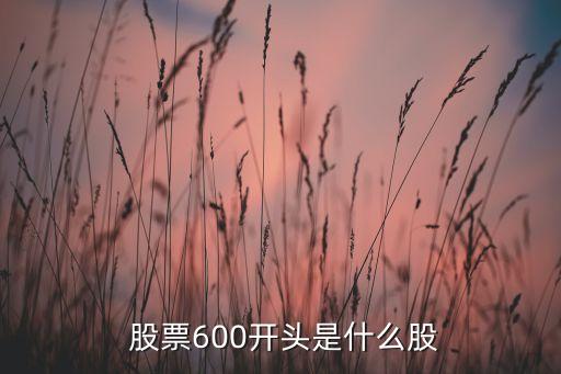  股票600開頭是什么股