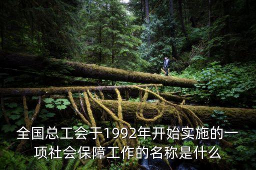 全國總工會于1992年開始實施的一項社會保障工作的名稱是什么