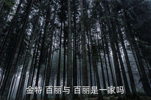 百麗公司公章