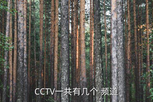 CCTV一共有幾個 頻道