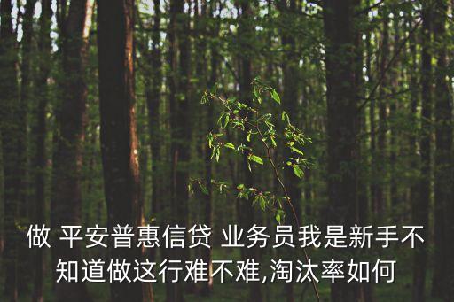 做 平安普惠信貸 業(yè)務(wù)員我是新手不知道做這行難不難,淘汰率如何