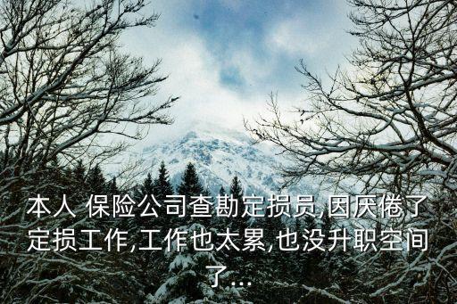 本人 保險(xiǎn)公司查勘定損員,因厭倦了定損工作,工作也太累,也沒升職空間了...