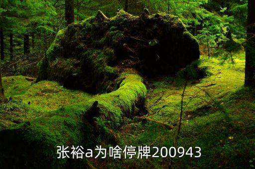  張裕a為啥停牌200943