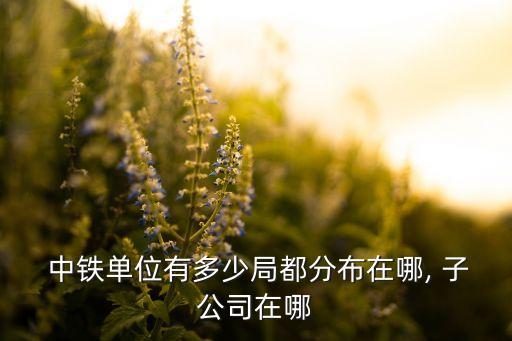  中鐵單位有多少局都分布在哪, 子公司在哪