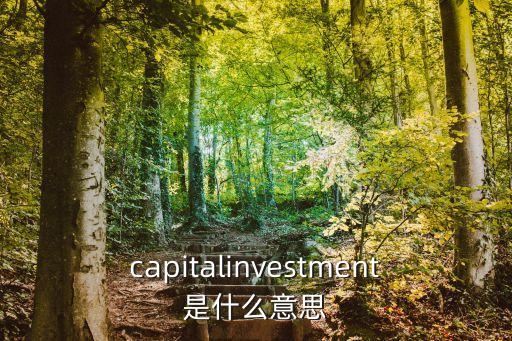 capitalinvestment是什么意思