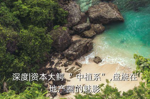 深度|資本大鱷“ 中植系”,盤旋在地產(chǎn)圈的魅影