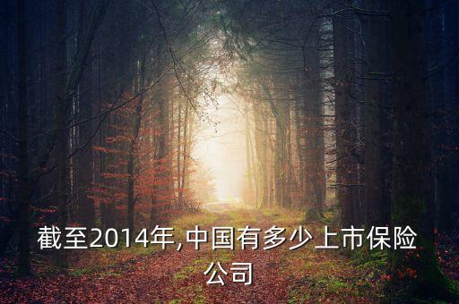 截至2014年,中國有多少上市保險公司