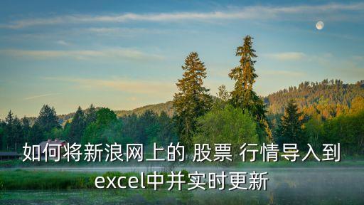 如何將新浪網(wǎng)上的 股票 行情導(dǎo)入到excel中并實(shí)時(shí)更新