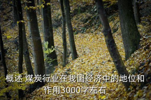 概述 煤炭行業(yè)在我國(guó)經(jīng)濟(jì)中的地位和作用3000字左右