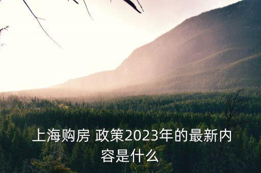  上海購(gòu)房 政策2023年的最新內(nèi)容是什么