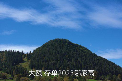  大額 存單2023哪家高