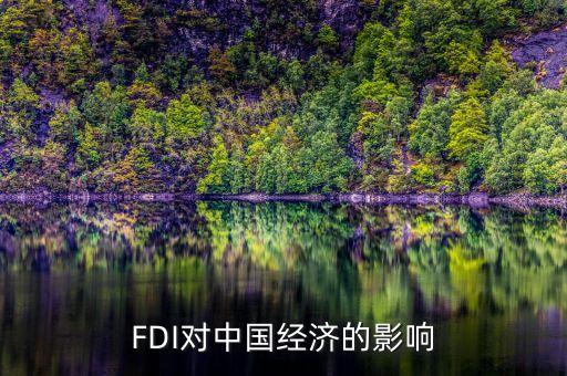 FDI對中國經(jīng)濟的影響