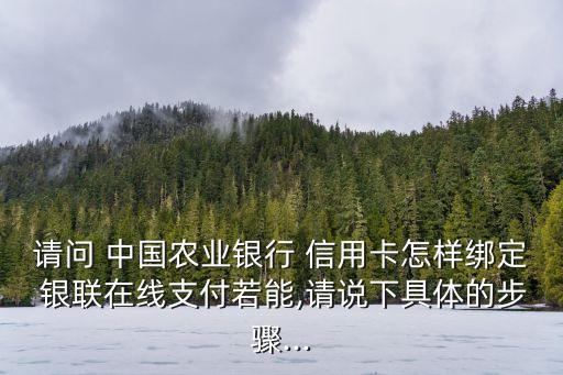 請(qǐng)問(wèn) 中國(guó)農(nóng)業(yè)銀行 信用卡怎樣綁定 銀聯(lián)在線支付若能,請(qǐng)說(shuō)下具體的步驟...