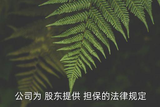 股東對(duì)公司擔(dān)保,股東公司擔(dān)保算不算第三方擔(dān)保