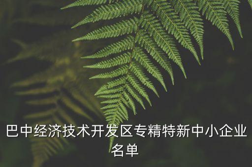 巴中經(jīng)濟技術開發(fā)區(qū)專精特新中小企業(yè)名單