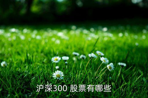 滬深300 股票有哪些