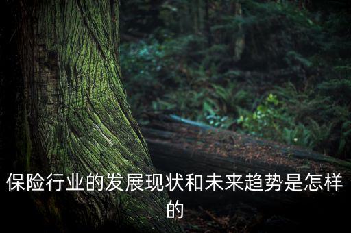 保險(xiǎn)行業(yè)的發(fā)展現(xiàn)狀和未來趨勢(shì)是怎樣的