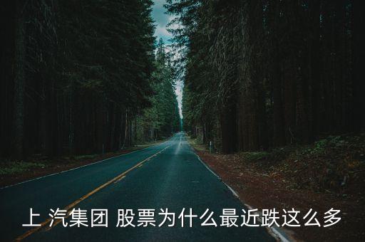 上 汽集團(tuán) 股票為什么最近跌這么多