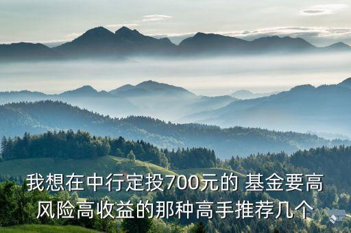 我想在中行定投700元的 基金要高風(fēng)險(xiǎn)高收益的那種高手推薦幾個(gè)