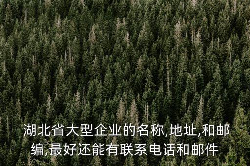  湖北省大型企業(yè)的名稱(chēng),地址,和郵編,最好還能有聯(lián)系電話(huà)和郵件