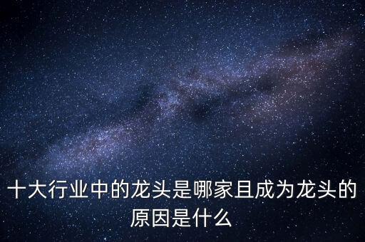 十大行業(yè)中的龍頭是哪家且成為龍頭的原因是什么