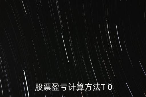  股票盈虧計算方法T 0