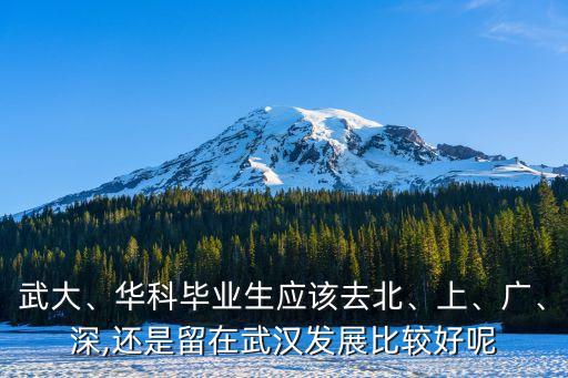 武大、華科畢業(yè)生應(yīng)該去北、上、廣、深,還是留在武漢發(fā)展比較好呢