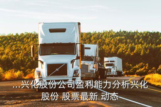 ...興化股份公司盈利能力分析興化股份 股票最新 動態(tài)