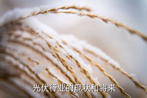  光伏行業(yè)的現(xiàn)狀和將來