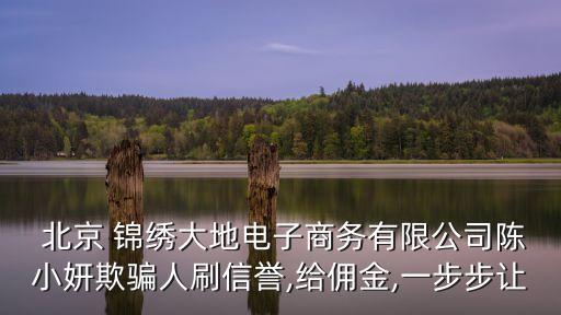  北京 錦繡大地電子商務有限公司陳小妍欺騙人刷信譽,給傭金,一步步讓