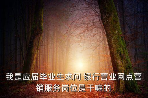 我是應(yīng)屆畢業(yè)生求問(wèn) 銀行營(yíng)業(yè)網(wǎng)點(diǎn)營(yíng)銷服務(wù)崗位是干嘛的