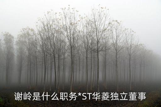 謝嶺是什么職務*ST華菱獨立董事