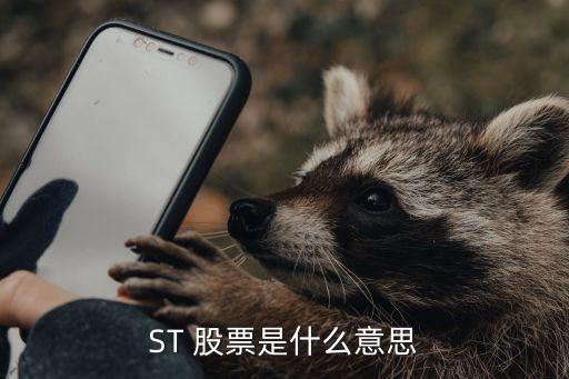 ST 股票是什么意思