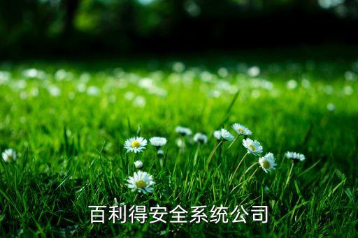 美國百利得安全系統(tǒng)公司