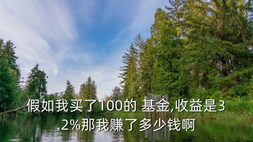 假如我買(mǎi)了100的 基金,收益是3.2%那我賺了多少錢(qián)啊