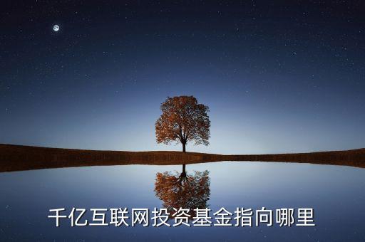 千億互聯(lián)網(wǎng)投資基金指向哪里