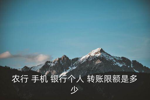 農(nóng)行 手機(jī) 銀行個(gè)人 轉(zhuǎn)賬限額是多少