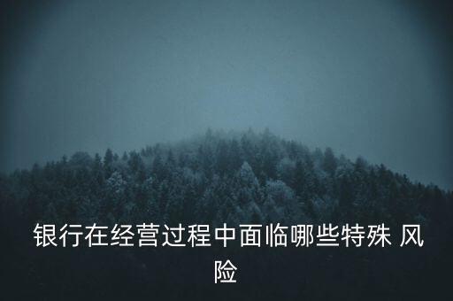  銀行在經(jīng)營過程中面臨哪些特殊 風(fēng)險