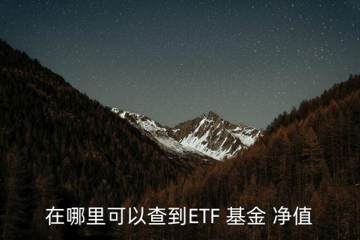 在哪里可以查到ETF 基金 凈值