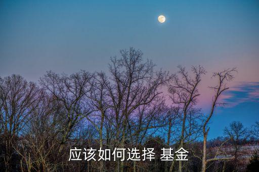 基金經(jīng)理養(yǎng)成記,明星基金經(jīng)理敗走記