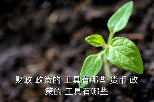 財(cái)政 政策的 工具有哪些 貨幣 政策的 工具有哪些