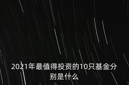 2021年最值得投資的10只基金分別是什么