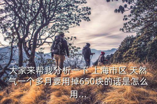 大家來幫我分析一下 上海市區(qū) 天然氣一個多月要用掉650塊的話是怎么用...