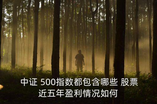  中證 500指數(shù)都包含哪些 股票近五年盈利情況如何