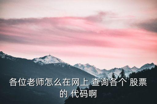 各位老師怎么在網(wǎng)上 查詢各個(gè) 股票的 代碼啊